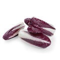 Chicory Long Treviso from Italy image 1