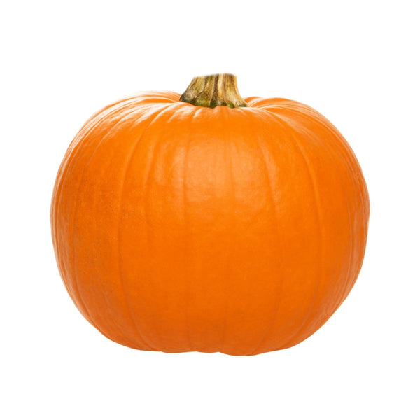 Halloween Pumpkin Medium from Italy image 1