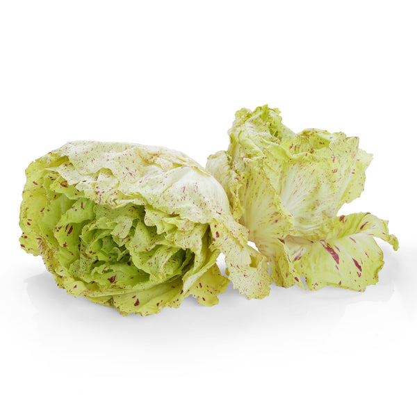 Chicory Castelfranco Variegato from Italy image 1