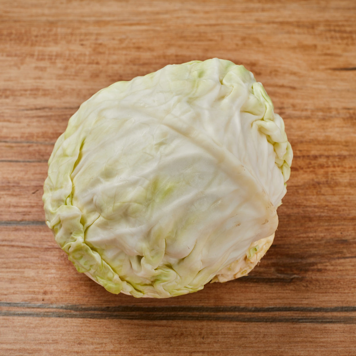 Cabbage White image 2