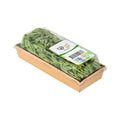 Oregano image 3