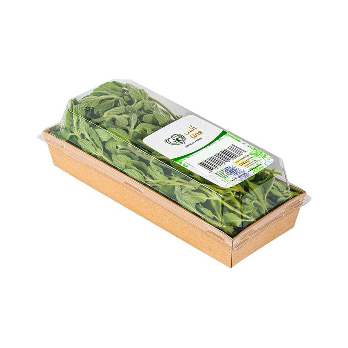 Oregano image 3