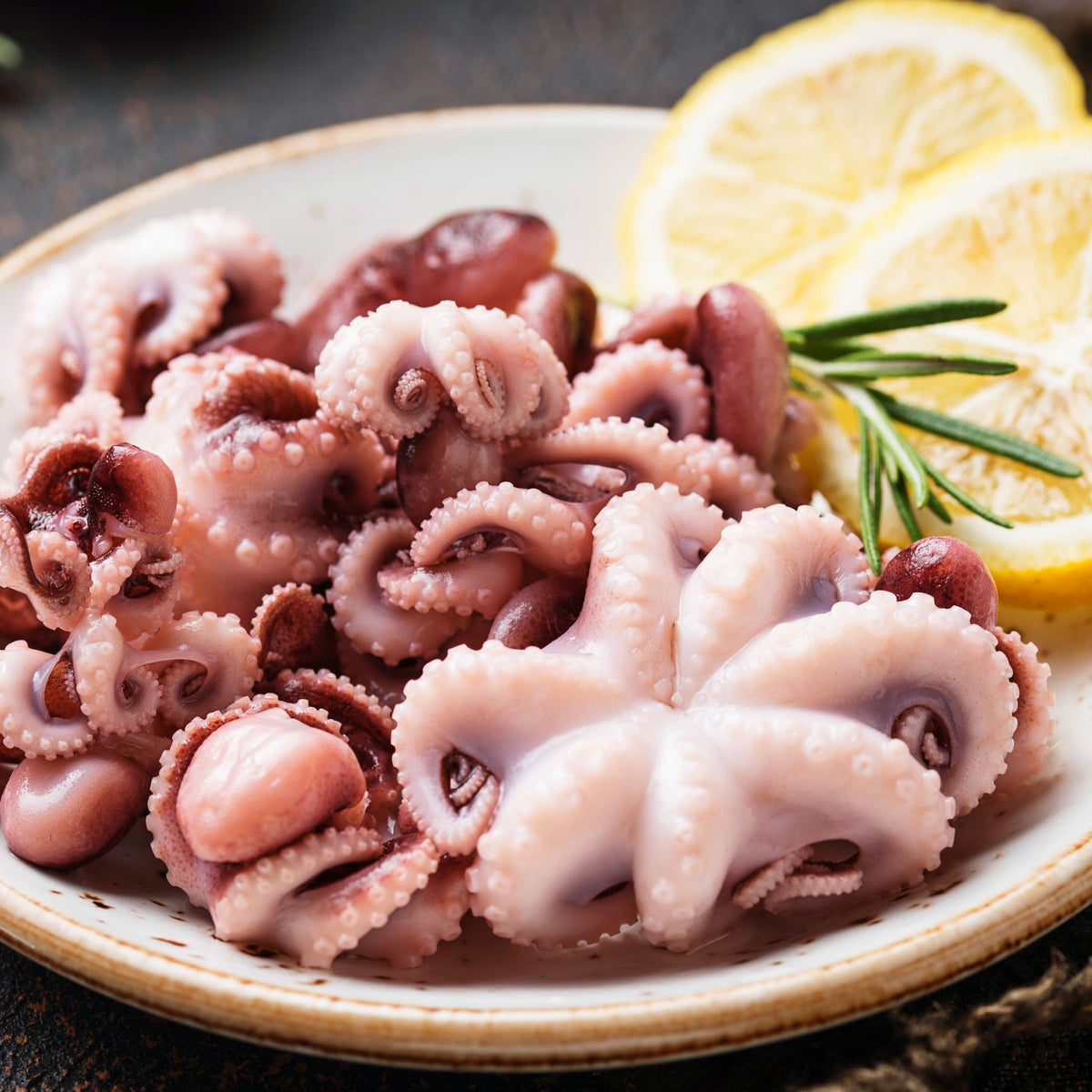 Octopus Baby image 1
