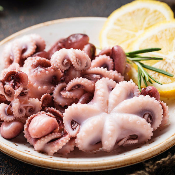 Octopus Baby image 1