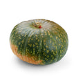 Pumpkin Delica from Italy image 1