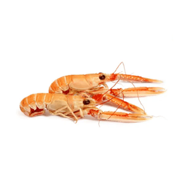 Langoustine 8/12 Frozen image 1