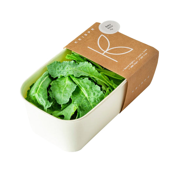 Baby Kale image 1