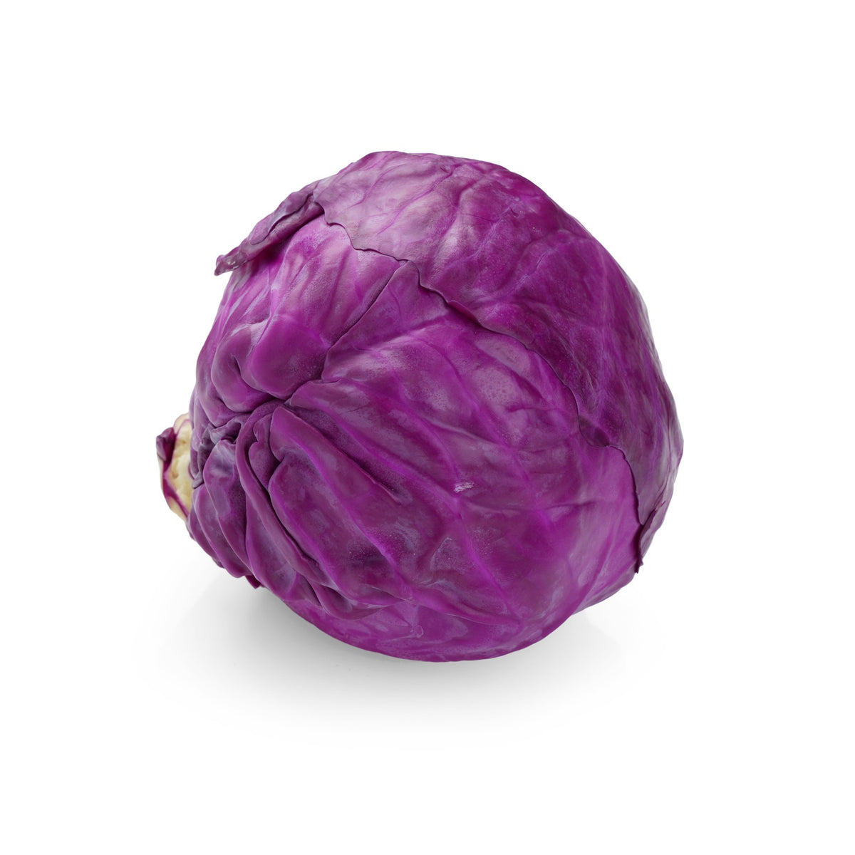 Cabbage Red image 1