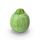 Zucchini Round from Italy image 1