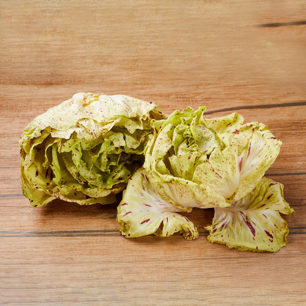Chicory Castelfranco Variegato from Italy image 2