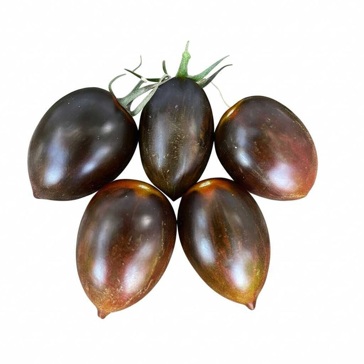 Tomato Datterino Black from Italy image 1