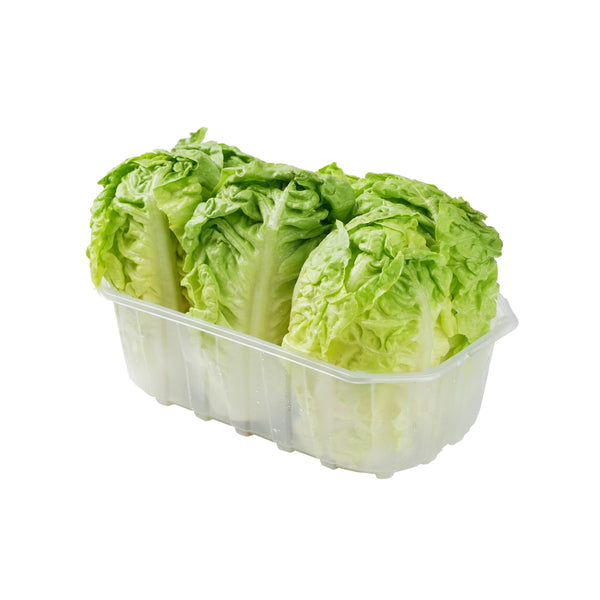 Lettuce Little Gem image 1