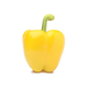 Capsicum Yellow image 1