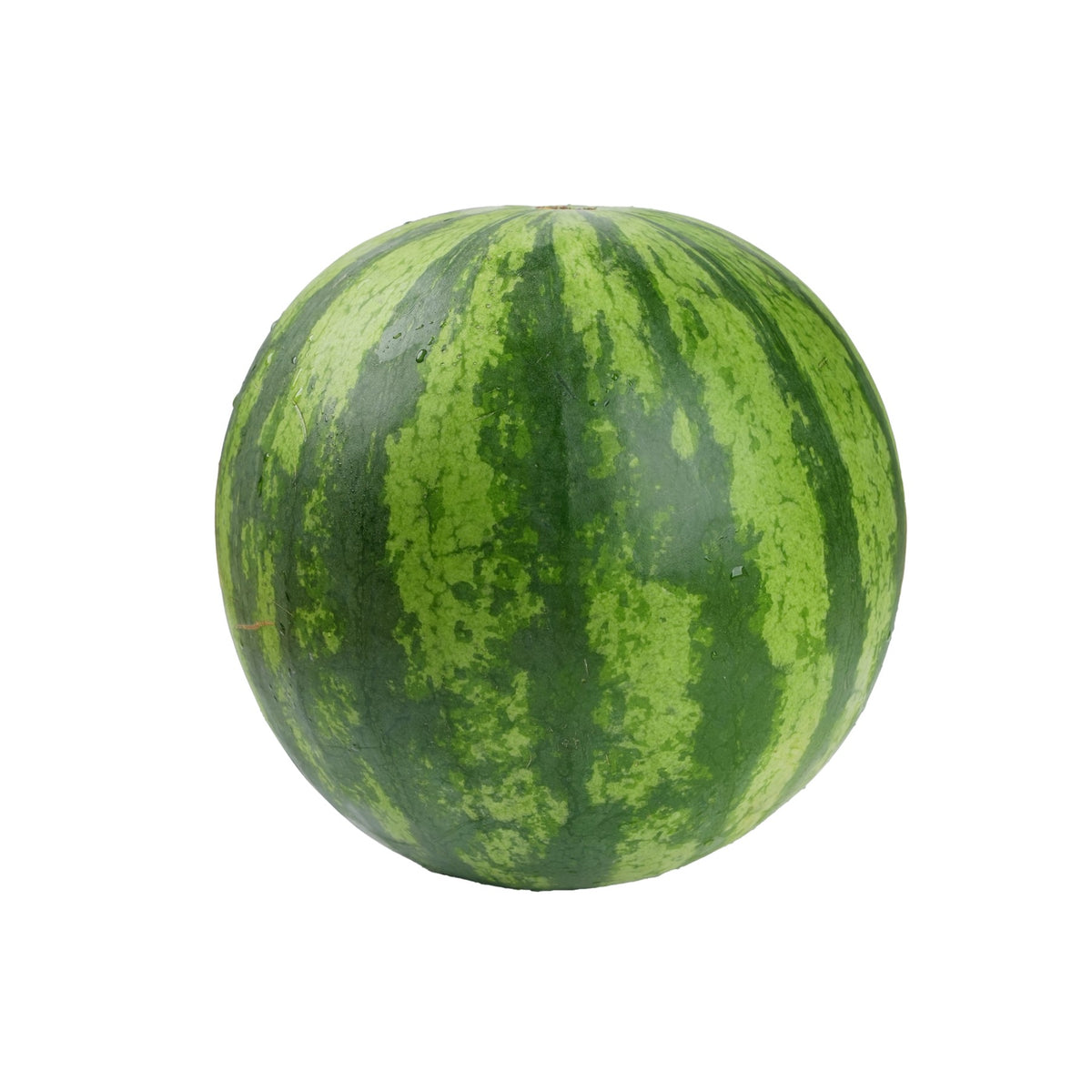 Baby Watermelon from Italy image 1