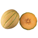 Melon Musk from Italy image 1