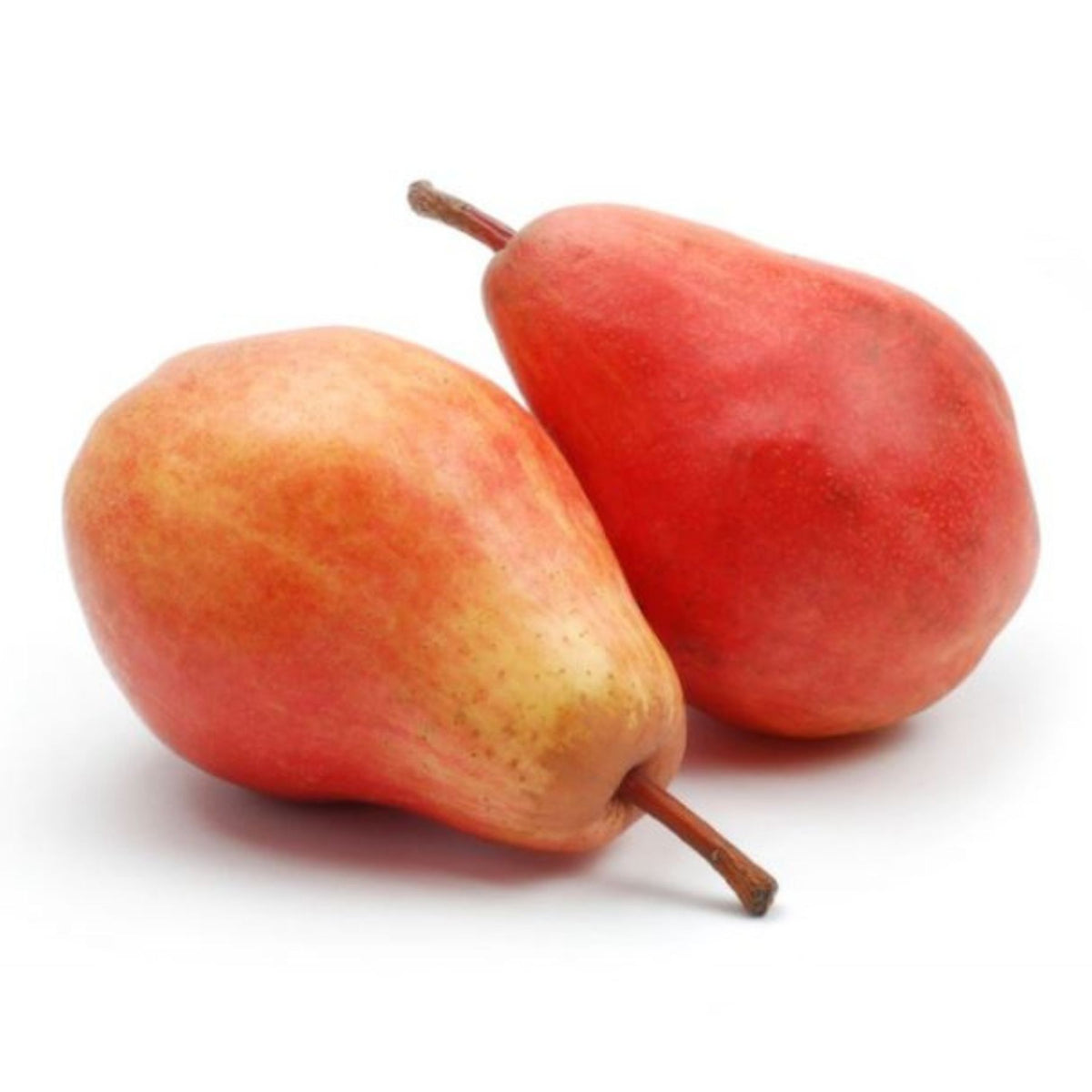 Pears Red William from Italy image 1