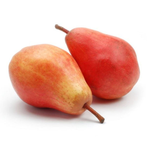 Pears Red William from Italy image 1