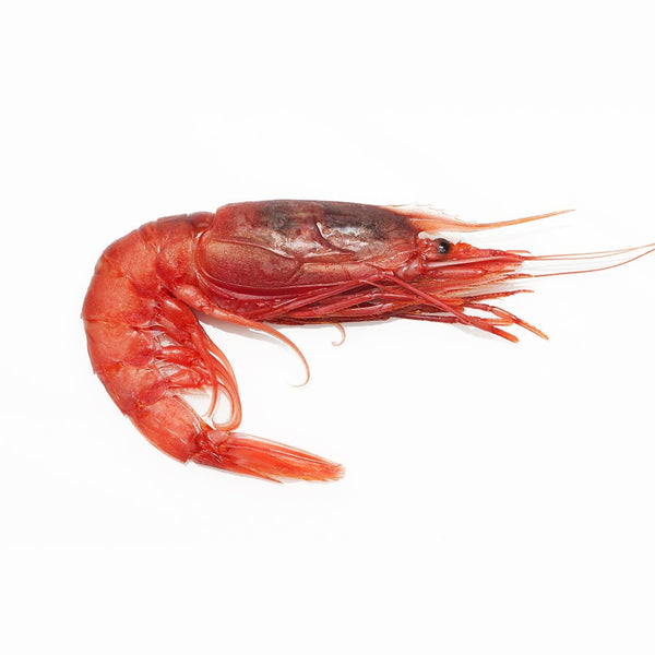 Gambero Rosso Mazara XL Frozen 30-35pcs image 1