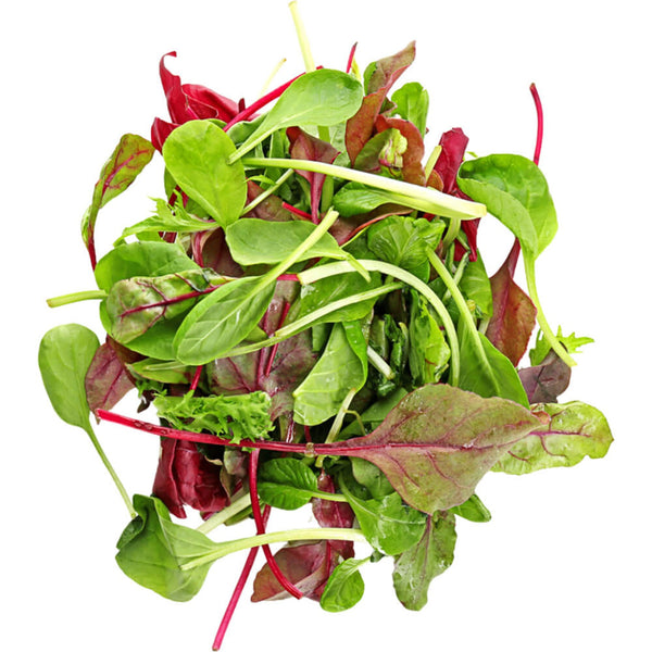 Lettuce Mesclun Mix Salad from Italy image 1
