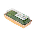 Chives image 3