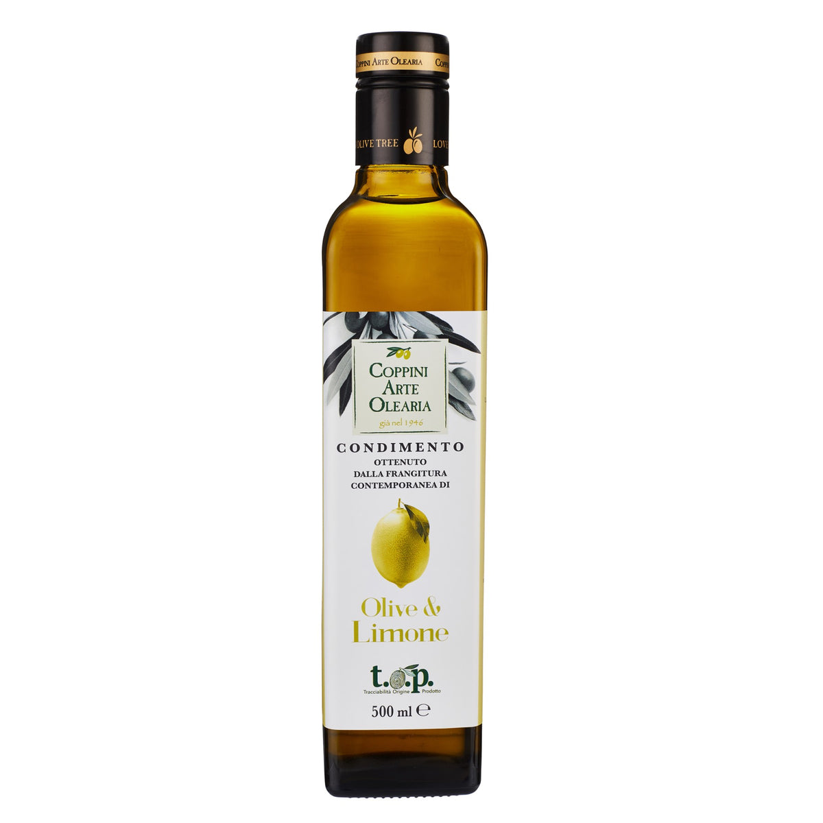 Olives & Lemon Dressing de' Coppini image 1
