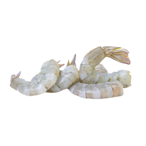 Black Tiger Shrimp 8/12 Cleaned Tail on Frozen 17-18pcs image 1