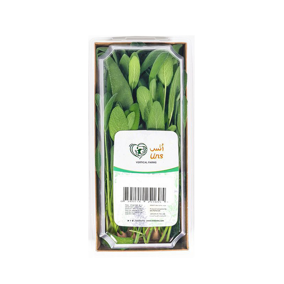 Sage image 2