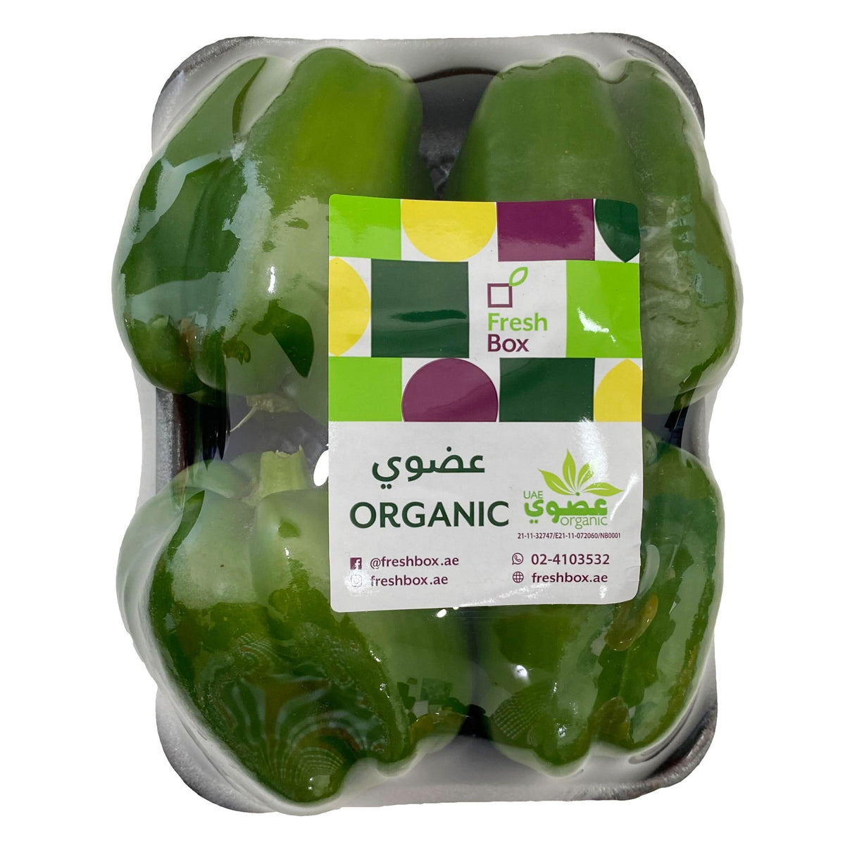 Capsicum Green Organic image 2
