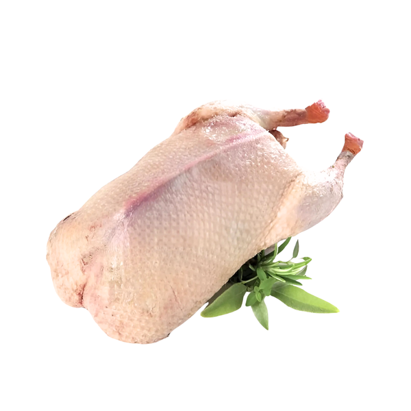 Duck Whole Barbary Female Frozen image 1
