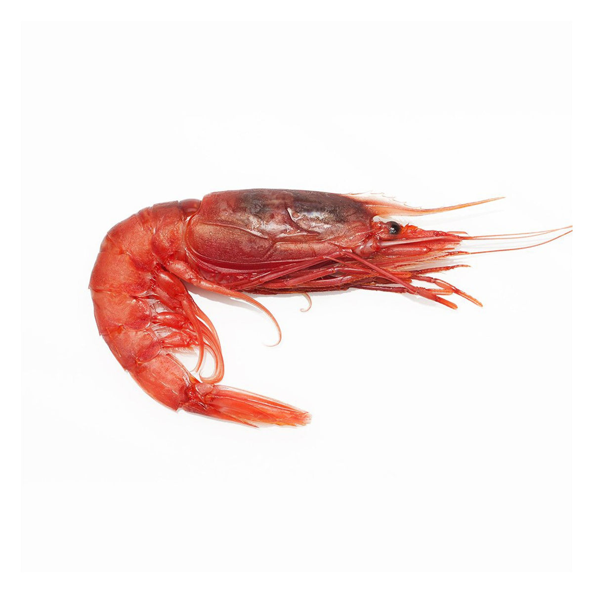 Gambero Rosso Mazara M Frozen ~56pcs image 1