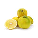 Lemon Bergamot from Italy image 1