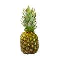 Pineapple image 1