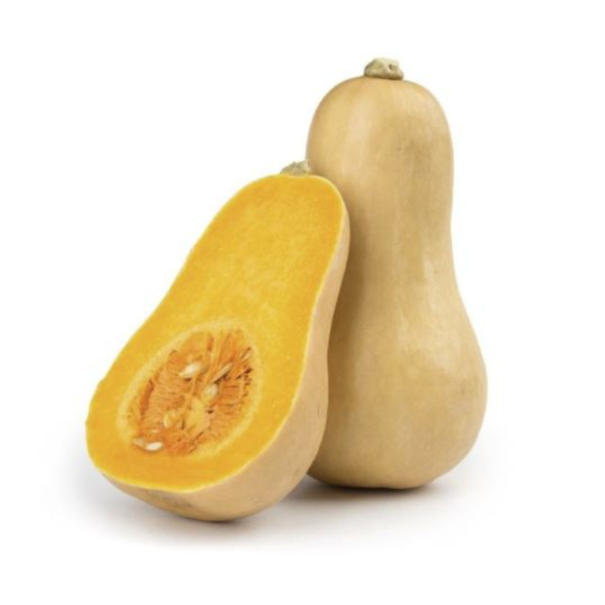 Pumpkin Butternut from Italy image 1