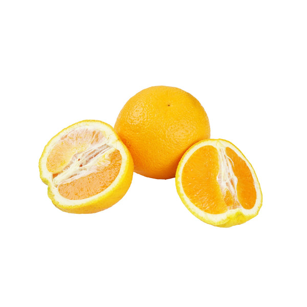 Orange Valencia from Italy image 1