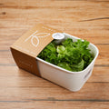 Baby Lettuce Mix image 2