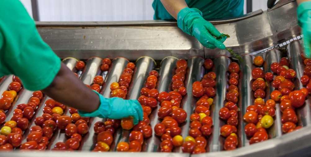 Producers-Conserve della nonna