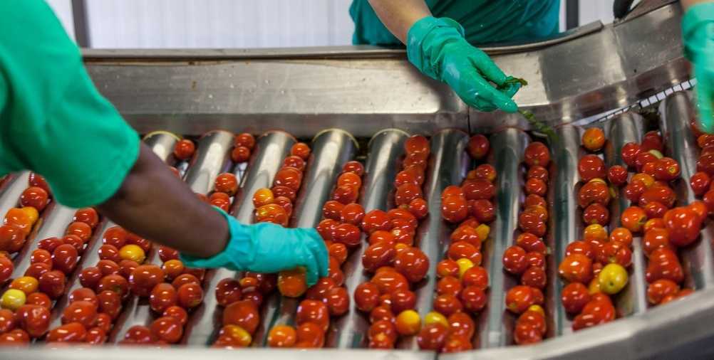 Producers-Conserve della nonna