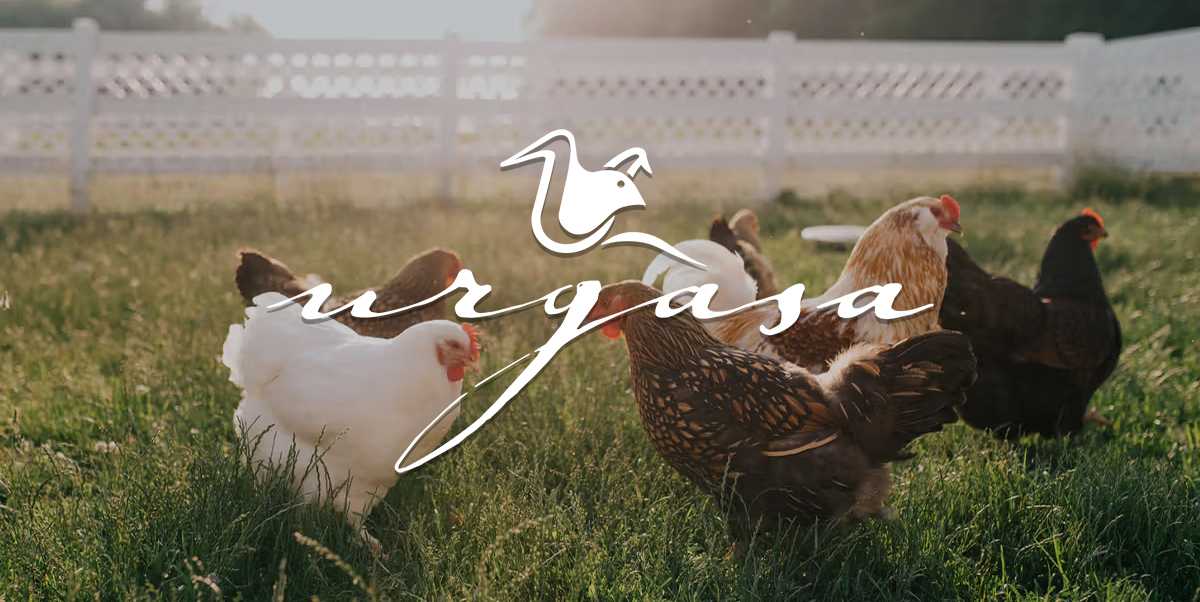 Producers-Urgasa